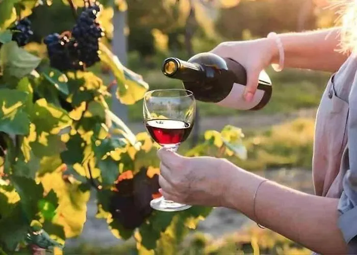 B E B Regale Nocleg ze śniadaniem Nova Siri