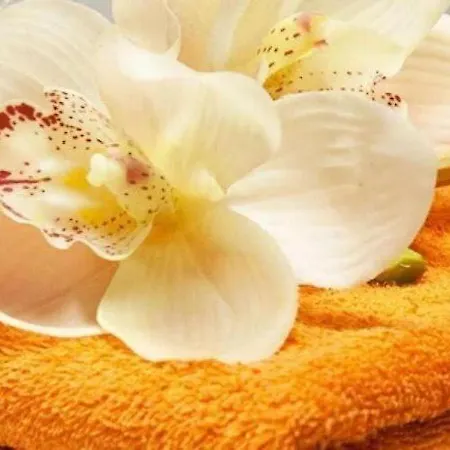 B E B Regale * Nova Siri Marina