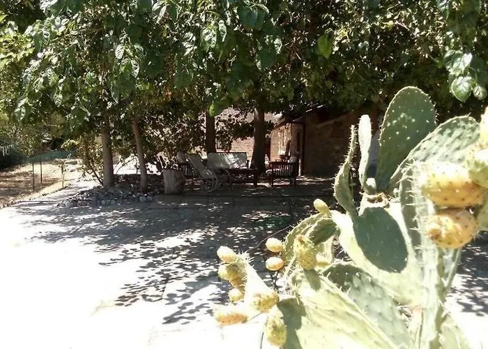 Bed & Breakfast B E B Regale *